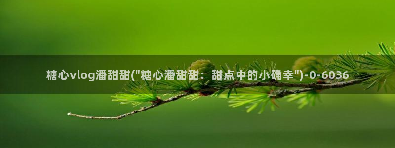 糖心vlgo哔哩哔哩安装教程29秒