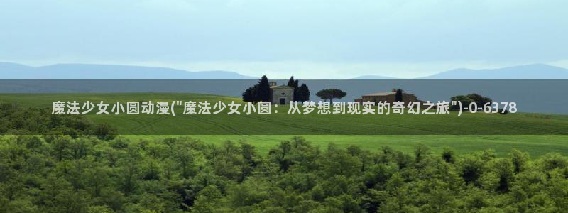 动漫节